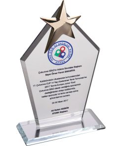 Kristal Plaket - Şeffaf / 12 x 21 cm